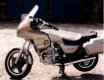 silverwing